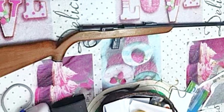 CARABINA 22. Cuatro disparos habría efectuado el propietario del inmueble.