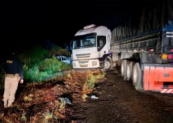 Niño de tres años falleció en otro trágico accidente en Brasil