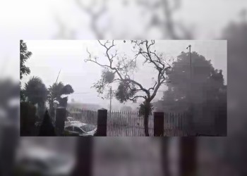 Llegaron las primeras lluvias del año en Misiones tras más de diez días de sequía