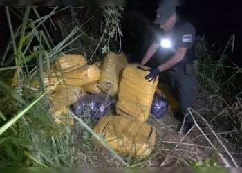 Gendarmería secuestró más de una tonelada de marihuana en Misiones