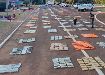 Encontraron una carga millonaria de marihuana escondida en yerba canchada