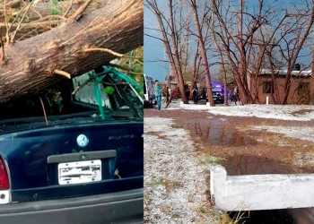 Un joven murió aplastado por un árbol durante una tormenta