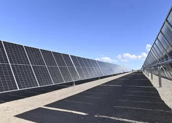 El Gobierno aprobó el primer proyecto de RIGI para la creación de un parque solar en Mendoza