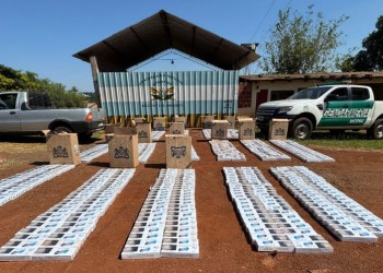 Misiones: Gendarmería secuestró más de 24 mil paquetes de cigarrillos en tres operativos