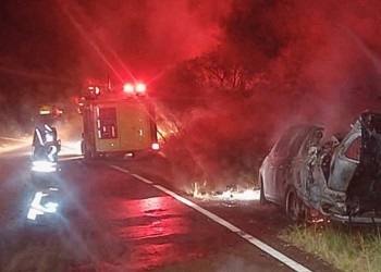 San Vicente: automovilista casi muere calcinado tras chocar a un caballo