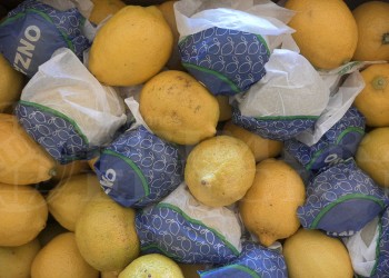El limón aumentó casi 400%, hay poca fruta y se disparó la demanda