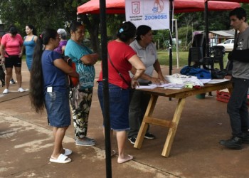 En su primer día, el quirófano veterinario móvil de Eldorado realizó 40 intervenciones