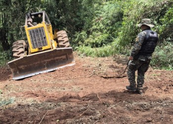 Apeo ilegal en Piñalito: apuntan a madereros y los guardaparques fueron trasladados