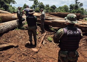 Detuvieron al dueño de un aserradero con madera nativa presuntamente robada de un parque provincial