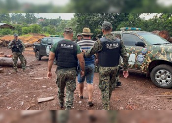 Detuvieron al dueño de un aserradero con madera nativa presuntamente robada de un parque provincial