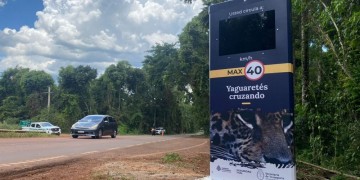 CONTROL NACIONAL. En los accesos al PNI, sobre ruta 12 y ruta 101, existen tótems que controlan la velocidad, a cargo de Nación.