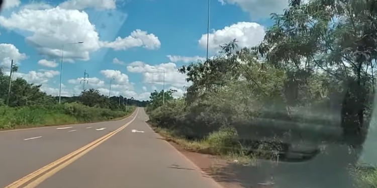 Foto gentileza: M. Zaluski.