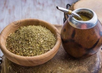 Producción orgánica de yerba mate: un estudio analizó costos y rentabilidad en Misiones