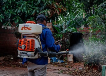 Monitoreo del dengue muestra del 5 al 8 % de infestación de larvas en Posadas