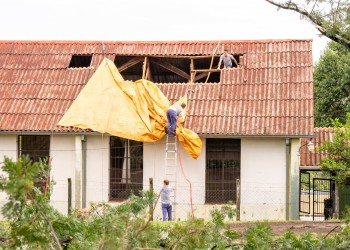 Devastación en Alem: unas 230 casas e instituciones destechadas en pocos minutos