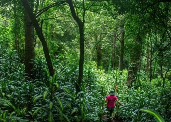 Atletismo: la selva recibe a los amantes del running