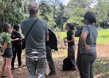 Iguazú: temor por la posible presencia de grandes felinos en las 2.000 Hectáreas