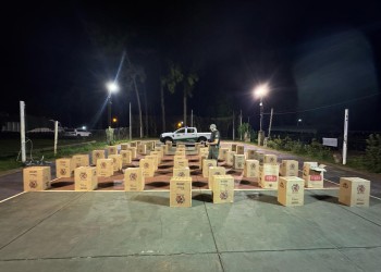 Gendarmería incautó carga de cigarrillos valuada en más de 40 millones de pesos