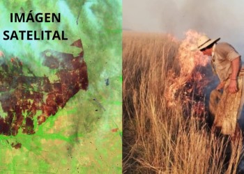 Incendios en Corrientes: “Esta crisis podría extenderse hasta marzo o abril”