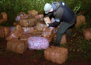 Incautan más de una tonelada de droga en Colonia Delicia
