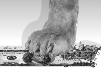 Dólar e inflación: una nueva fase