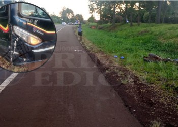 Tragedia en la Ruta 14: un motociclista murió tras chocar con un colectivo