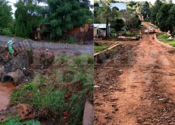 Usuarios de colectivo exigen que el 81 vuelva a recorrer la calle Nicolás Avellaneda