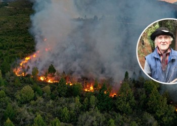 Primer fallecido en el incendio de El Bolsón: volvió por su perro, pero ya no pudo salir
