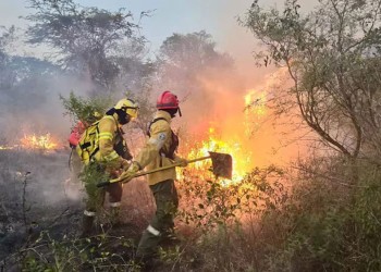 Corrientes ya no tiene focos activos de incendios