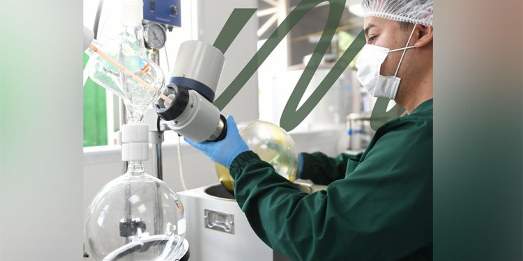 OTROS PRODUCTOS. MisioPharma se prepara para lanzar repelentes contra mosquitos en spray. (Imagen: IG. Misiopharma)