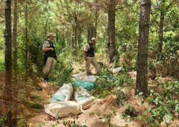 Santo Pipó: incautaron droga valuada en más de 300 millones de pesos