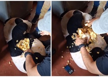 Operativo “ternura”: escondía droga en un oso de peluche y lo arrestaron