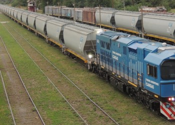 El Gobierno oficializó el decreto de la privatización total del Belgrano Cargas