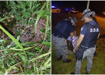 Susto en Nueve de Julio por el hallazgo de un yacaré overo entre las malezas