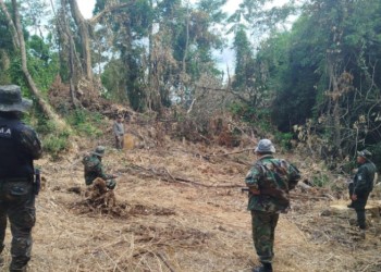 Sin detenidos, la policía busca a dos hermanos por apeo ilegal en una reserva de Piñalito