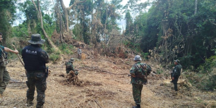 OPERATIVO. La policía en forma conjunta con el Ministerio de Ecología iniciaron la investigación en 2024.