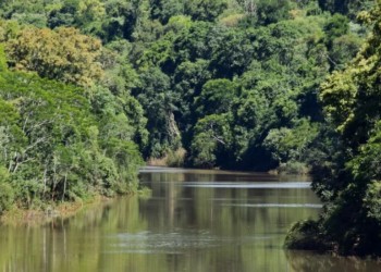 Mitre hizo historia y jugará la final por el ascenso al Federal A
