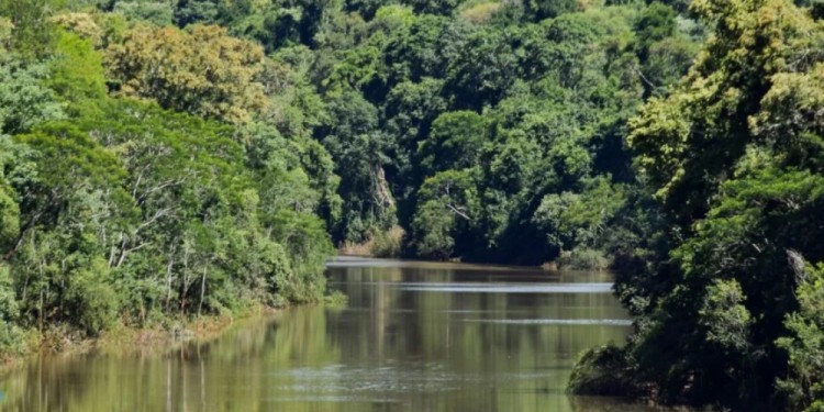 ARROYO URUGUA-Í. El menor fue arrastrado por la corriente en una zona angosta del cauce pero donde la corriente es muy fuerte, a unos 700 metros aguas abajo del salto de la represa Urugua-í. (Foto ilustrativa/Misiones Natural)