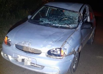 Caa Yarí: embistió a un caballo en la ruta y se salvó de milagro