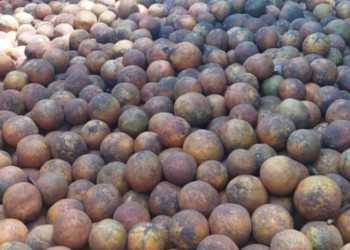 El Senasa decomisó en Misiones 27 toneladas de naranjas