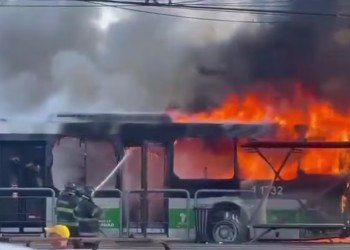 Brasil: avión se estrelló en plena avenida, chocó contra un colectivo y hay al menos dos muertos