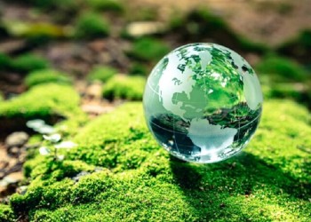 Ecosanación y ambiente