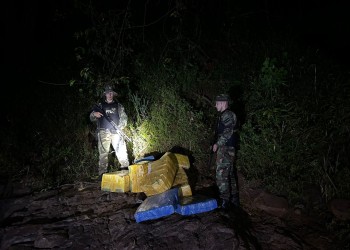Incautan 245 kilos de marihuana en Misiones