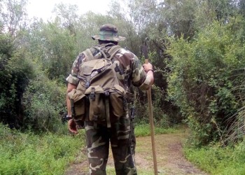 Robo de madera: advierten que Misiones debería tener 936 guardaparques y son 120