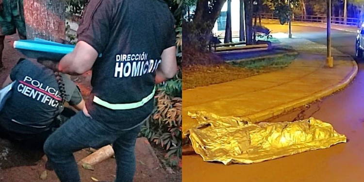 SITIO. En una de las curvas de la avenida Victoria Aguirre, a metros de la Intendencia del Parque Nacional Iguazú.