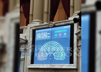 Suspensión de las PASO: cómo votaron los diputados misioneros
