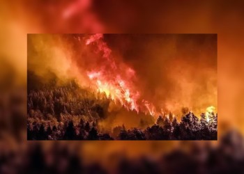 El Gobierno asegura que brinda asistencia a las provincias afectadas por el fuego