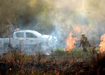 Cinco departamentos registran riesgo extremo de incendio en Misiones