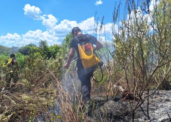 Controlan un incendio de malezas en Itacaruaré