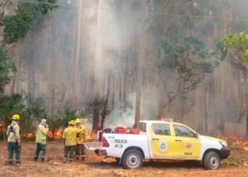 Fuego en Corrientes: en lo que va del año se perdieron unas 250 mil hectáreas